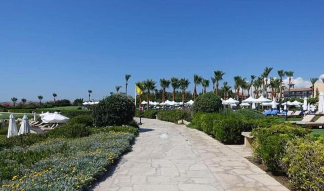 Sunset Seaview Studio Apartment Paphos Ngoại thất bức ảnh